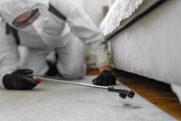 Professional Emergency Pest Control technician working in West Carrollton, OH