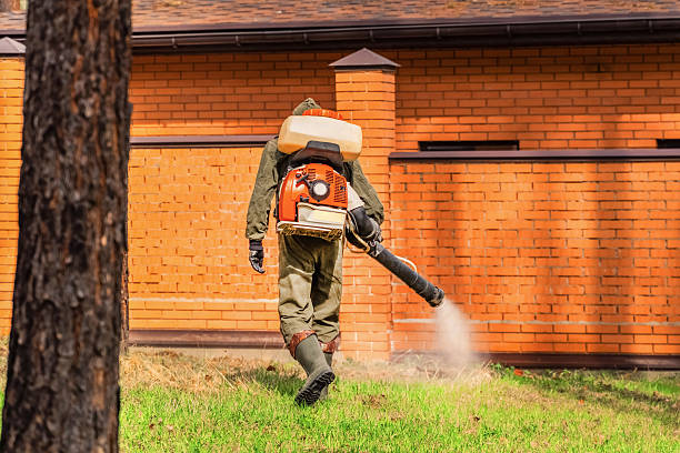 Trusted Cockroach Control service in West Carrollton, OH - Nex Pest Control